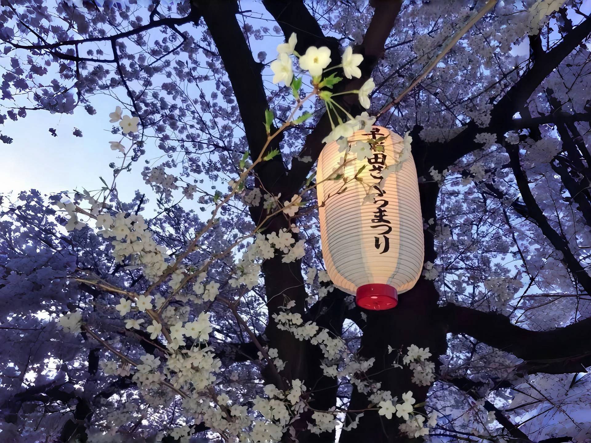 VorniqNow.online Gaming World